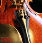 El sonido perfecto de los violines Stradivarius es pura química