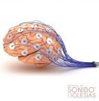 Descubren tres nuevas neuronas claves en el sistema auditivo